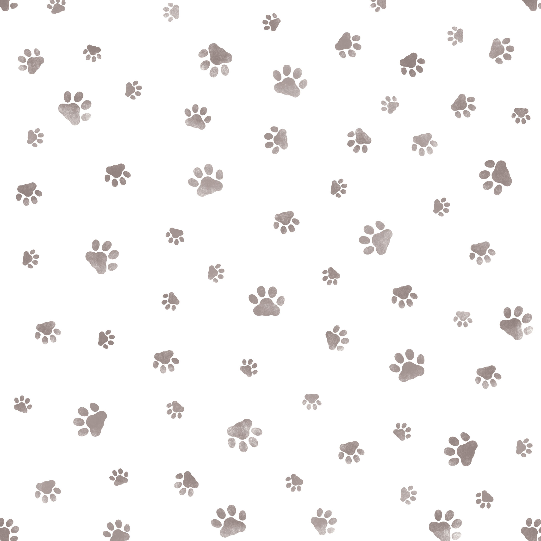 dog paw print