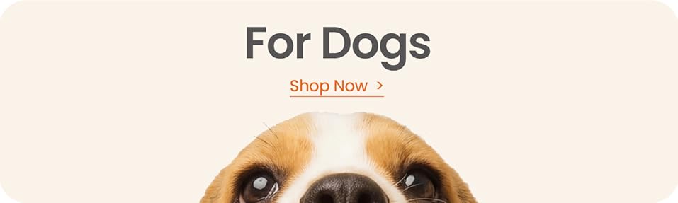 for dogs